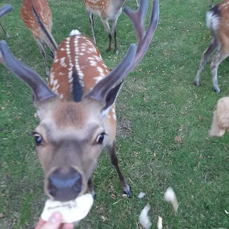 Gutshaus Lantgård *