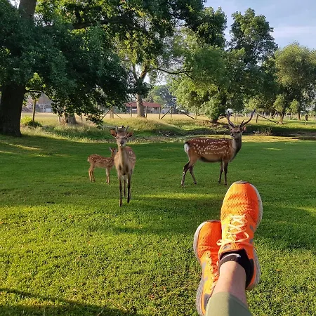 Gutshaus Lantgård Pinnow (Ludwigslust-Parchim)