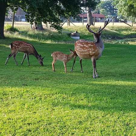 Lantgård Gutshaus *