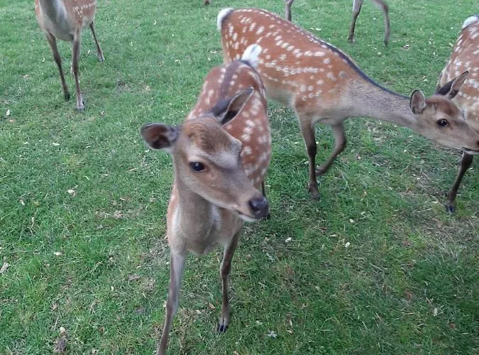 Farmház Gutshaus Pinnow