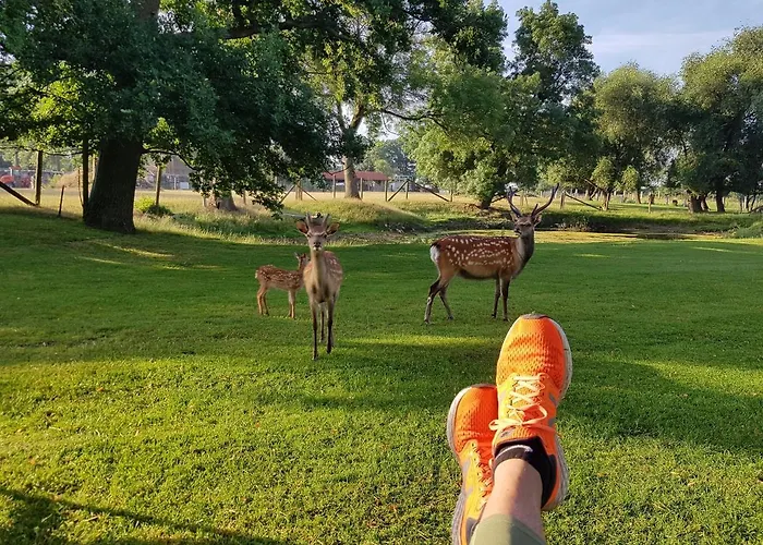 Gutshaus Farmház Pinnow