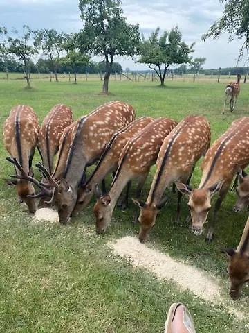 Gutshaus Farmház Pinnow