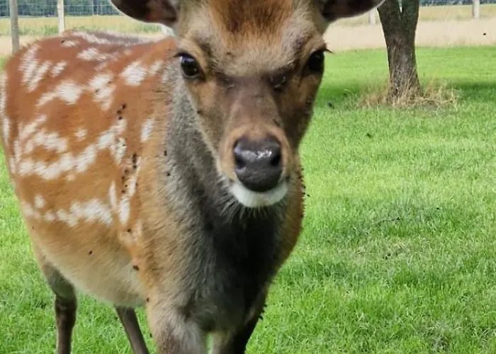 Farmház Gutshaus Pinnow